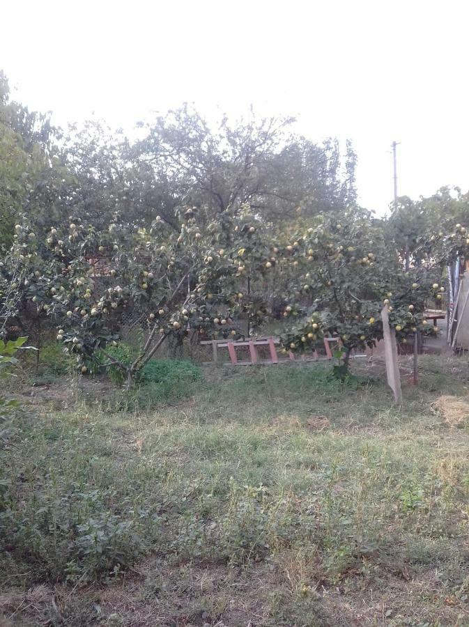 فندق Udabno Naili المظهر الخارجي الصورة