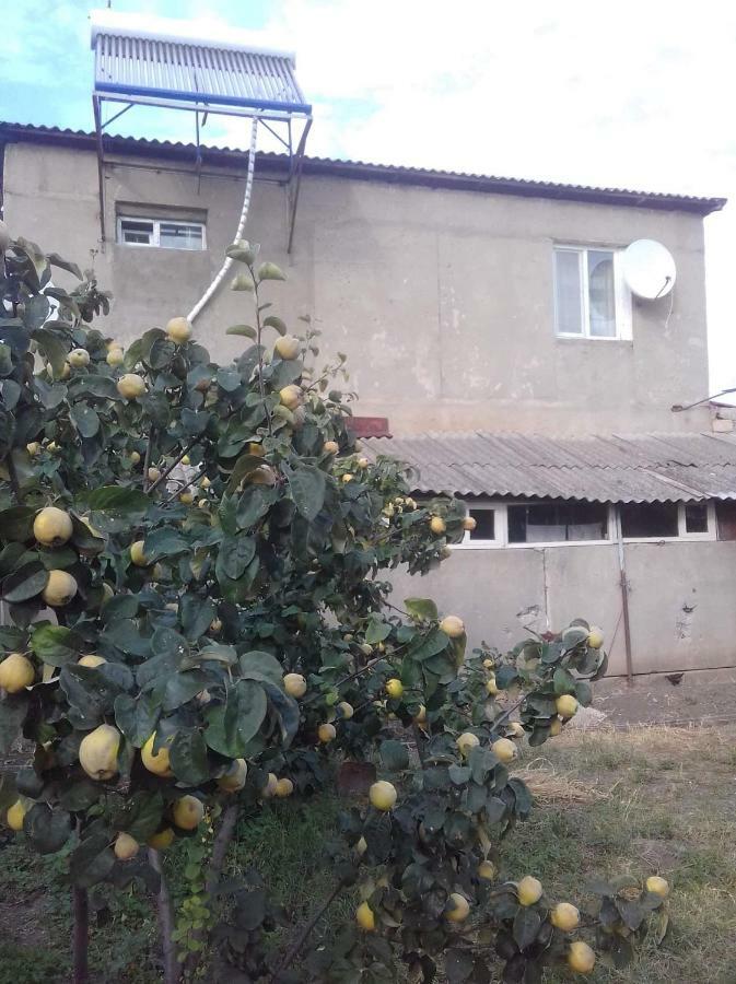 فندق Udabno Naili المظهر الخارجي الصورة